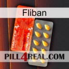 Fliban new01